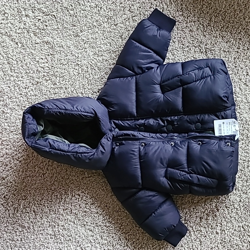 NWT Zara Puff Baby Boy Jacket Sz: 3-6months